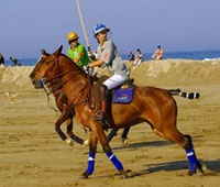 Polo Cup Rimini